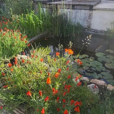 Courtyard Cosy